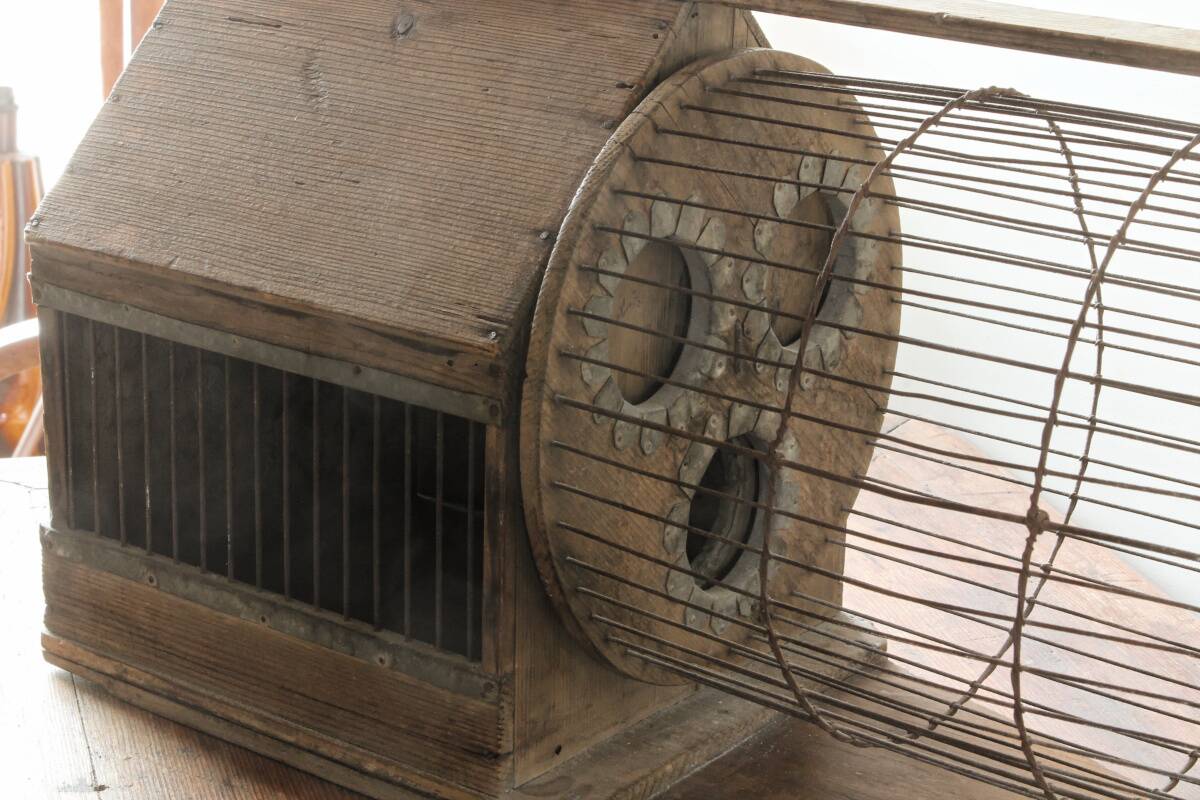 Cage à écureuil, 19ème siècle, bois et métal