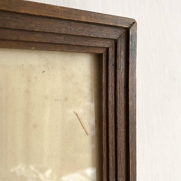 Grande gravure zoologique ancienne encadrée « La Lavandière »