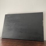 Plateau peints main perroquets