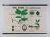 Vintage educational wall hanging roll chart biology oak