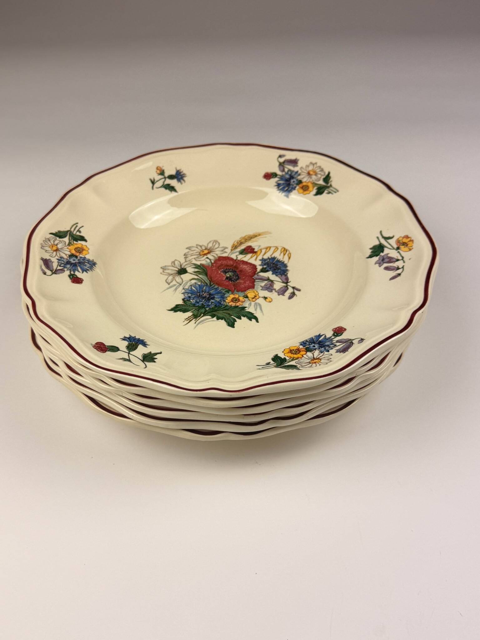Hollow plate earthenware from Sarreguemines "Agreste"