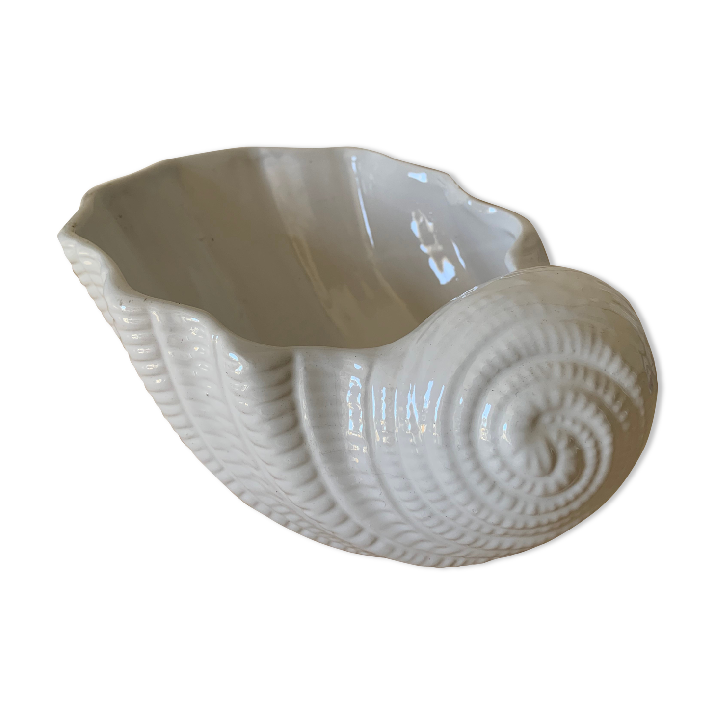 Shell vase