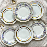 12 Mismatched porcelain plates