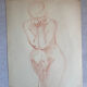 Female nude drawing