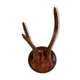 Slaughter of deer