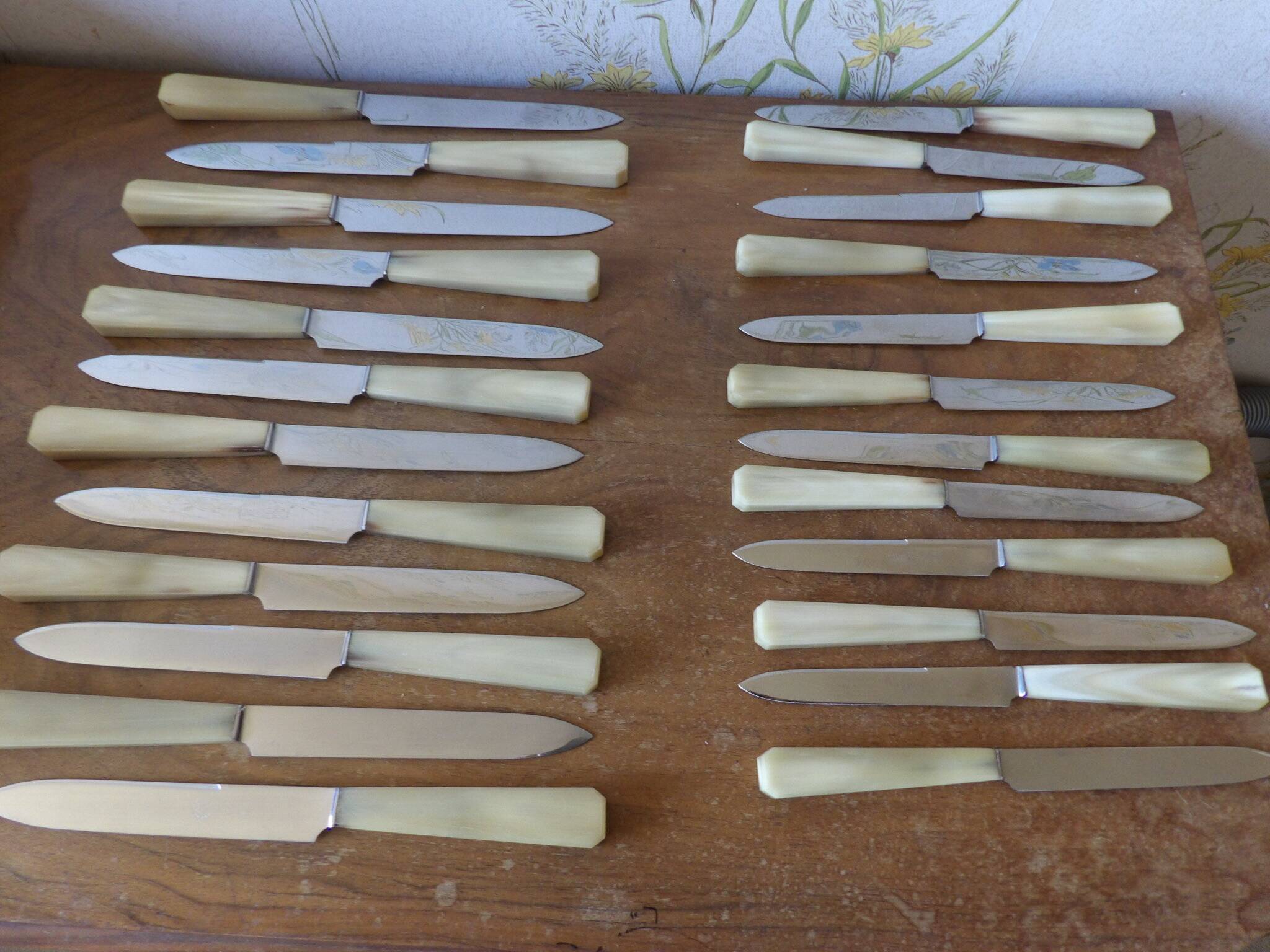 Boite de 24 couteaux