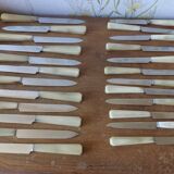 Box of 24 knives