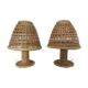 Paire de lampes en rotin bambou années 60/70