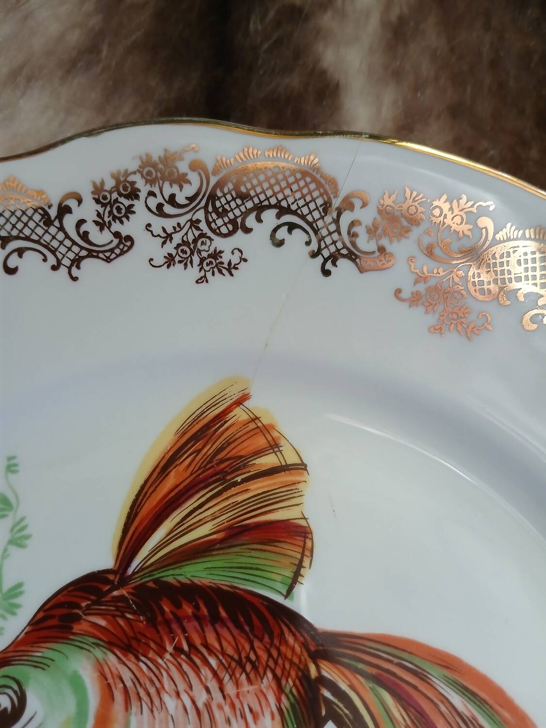 12 antique "Royal" dinner plates + 1 dish