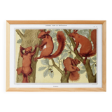 Poster "Squirrels", based on an Art Nouveau lithograph from 1897.