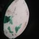 Lampe Coquillage Vallauris