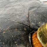 Pouf en bois vintage / banc de chameau / repose-pieds