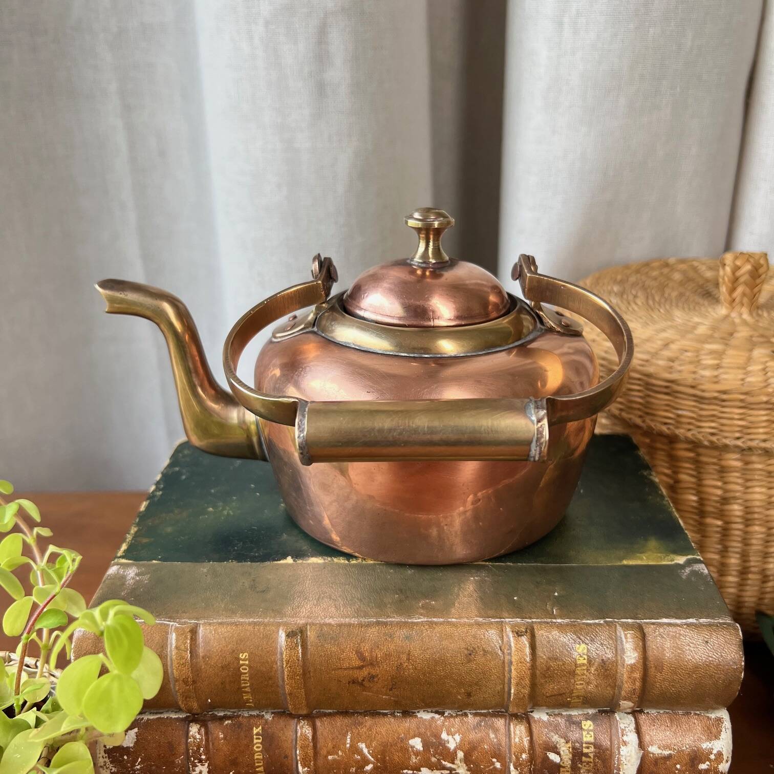 Small copper and brass teapot