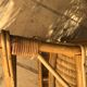 Vintage rattan armchair