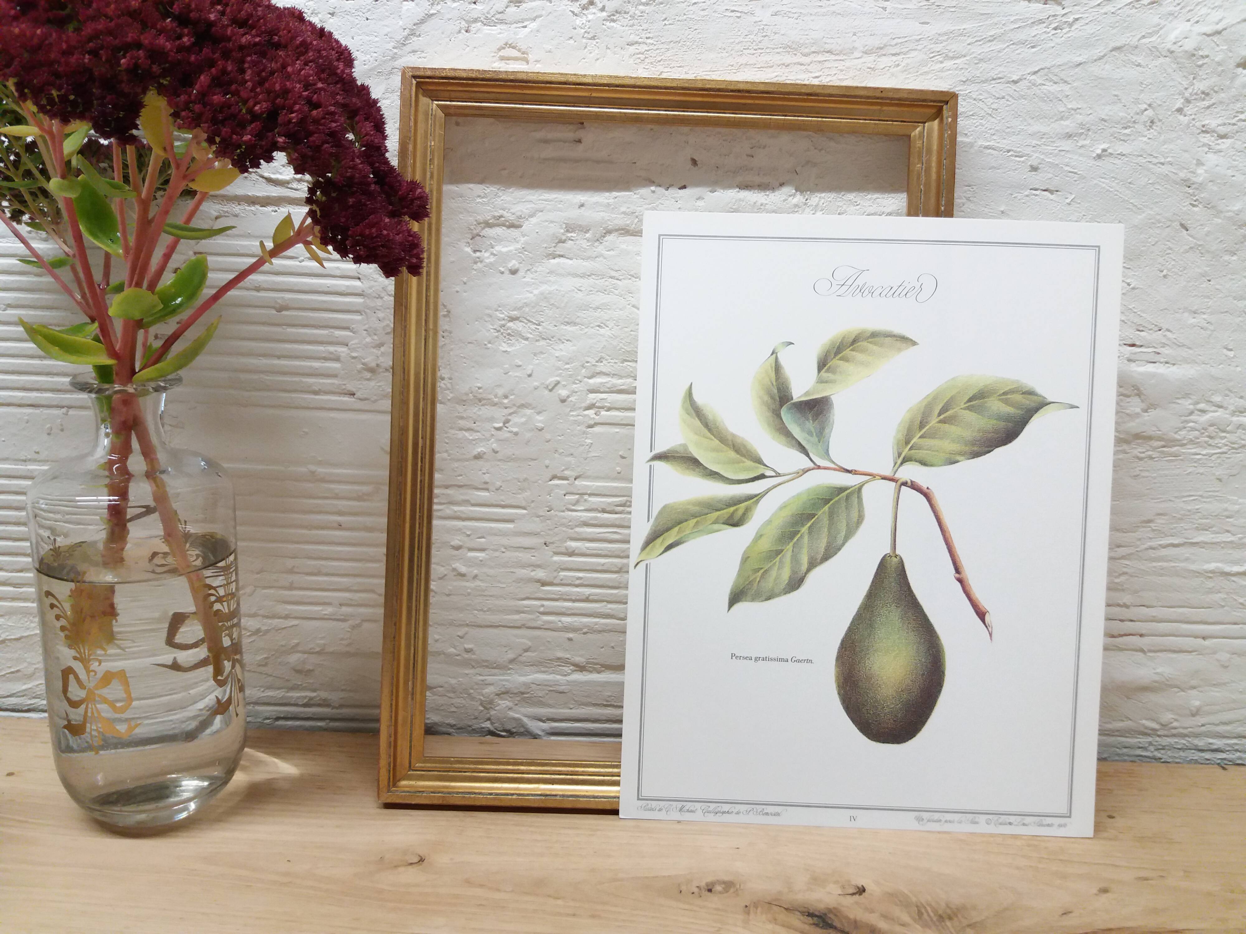 Botanical plank Avocado