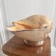 Cabinet of curiosities giant shell circled cup and base 60s