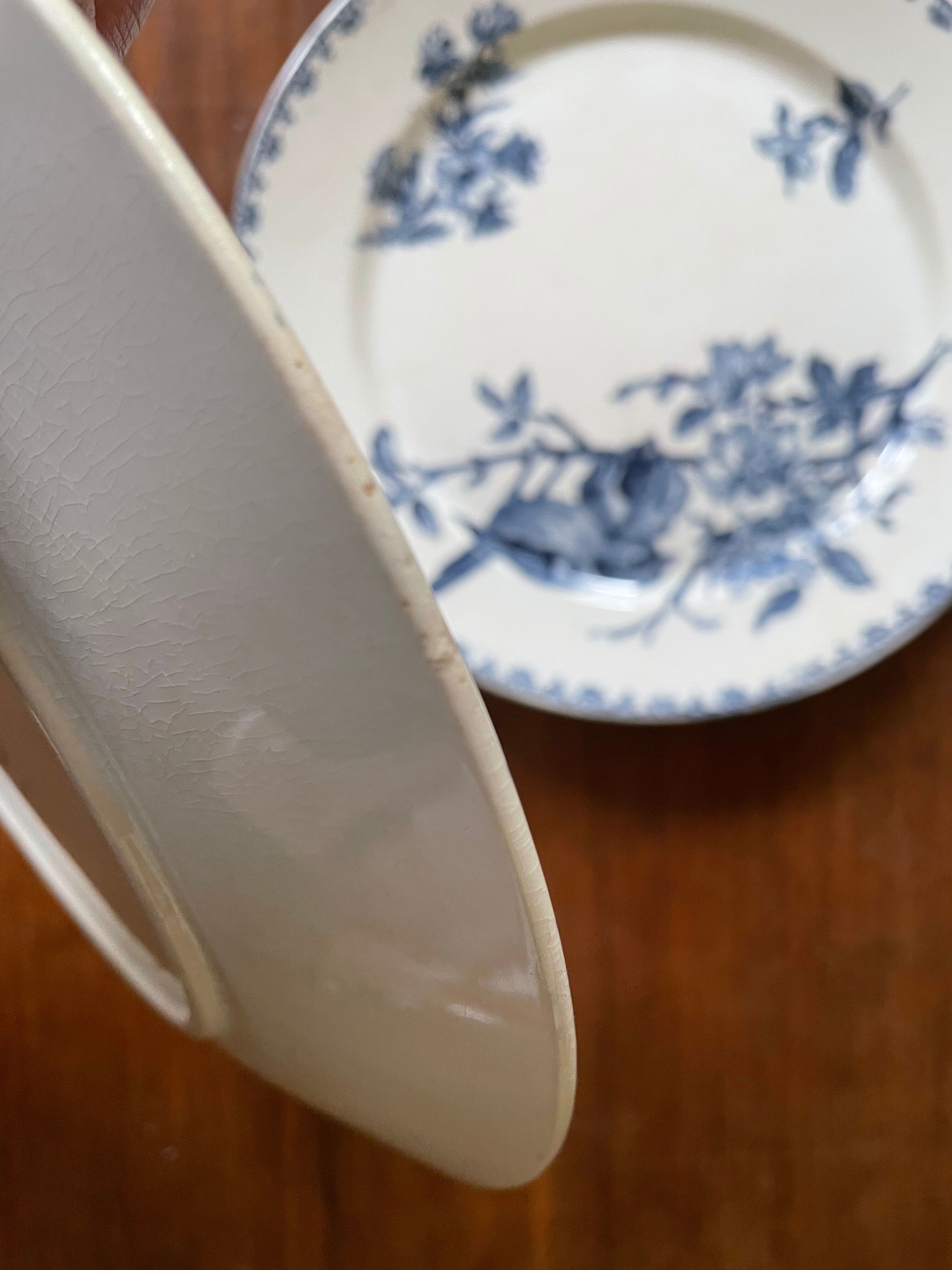 Flat plates Sarreguemines Iron Earth model Blue favorite