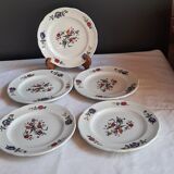 Lot de 5 assiettes à dessert