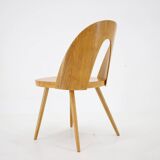 Chaise Antonin Suman des années 1960 en noyer, Tchécoslovaquie