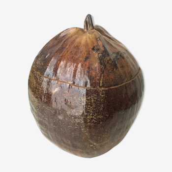 Coconut box
