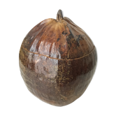 Coconut box