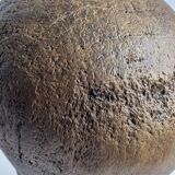 Former wooden milliner's head, 1900