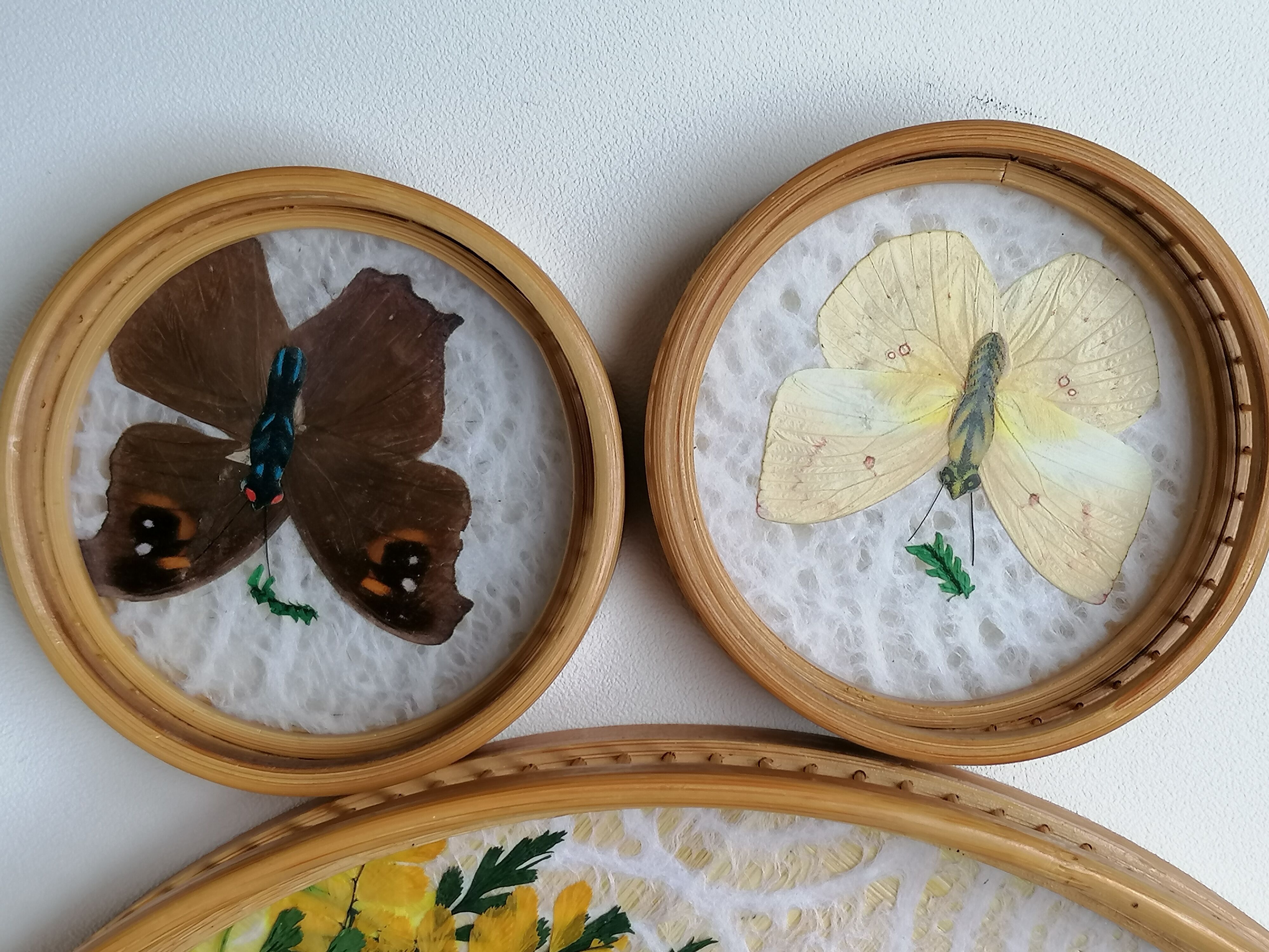 Butterfly rattan tray and coaster