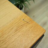 Ash cabinet, Danish design, 1970s, manufacturer: Søborg