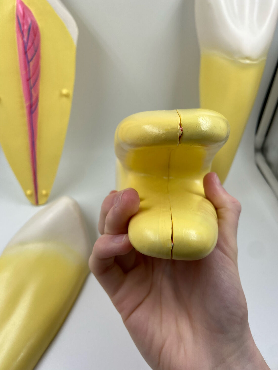 Large size dental model 3 tooth