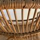 Rattan shell chair