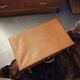 Hermes case
