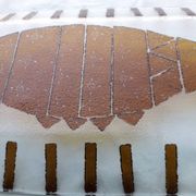 Plat à poisson en verre de Murano