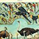 Old lithograph 1928 A. Millot - Birds 4, ornithology, birds
