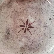Pair of bowls signed A. Serghini
