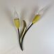 Mid-Century Floral Wall Lamps from 1950'