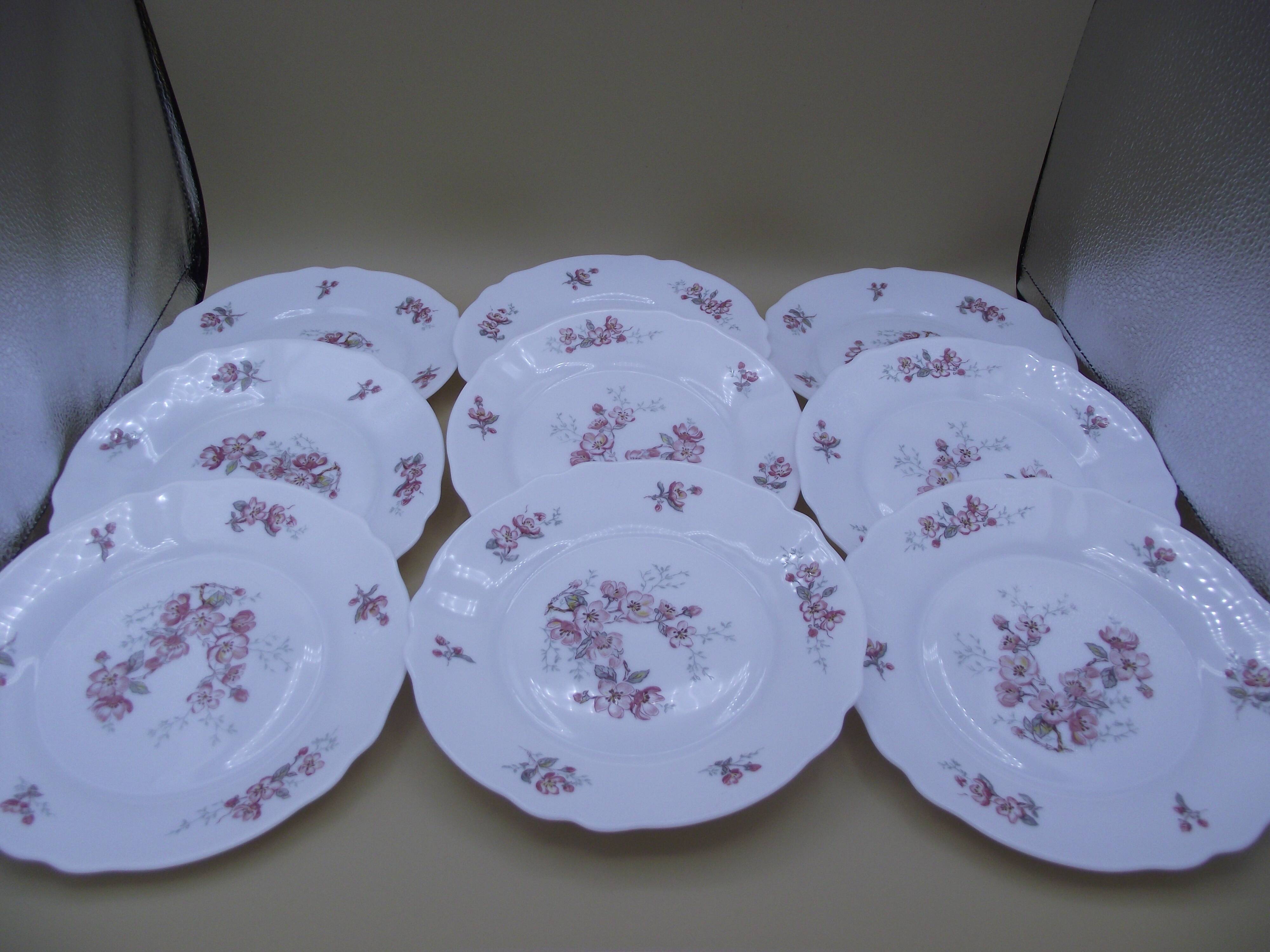 Lot of 9 dessert plates Arcopal France