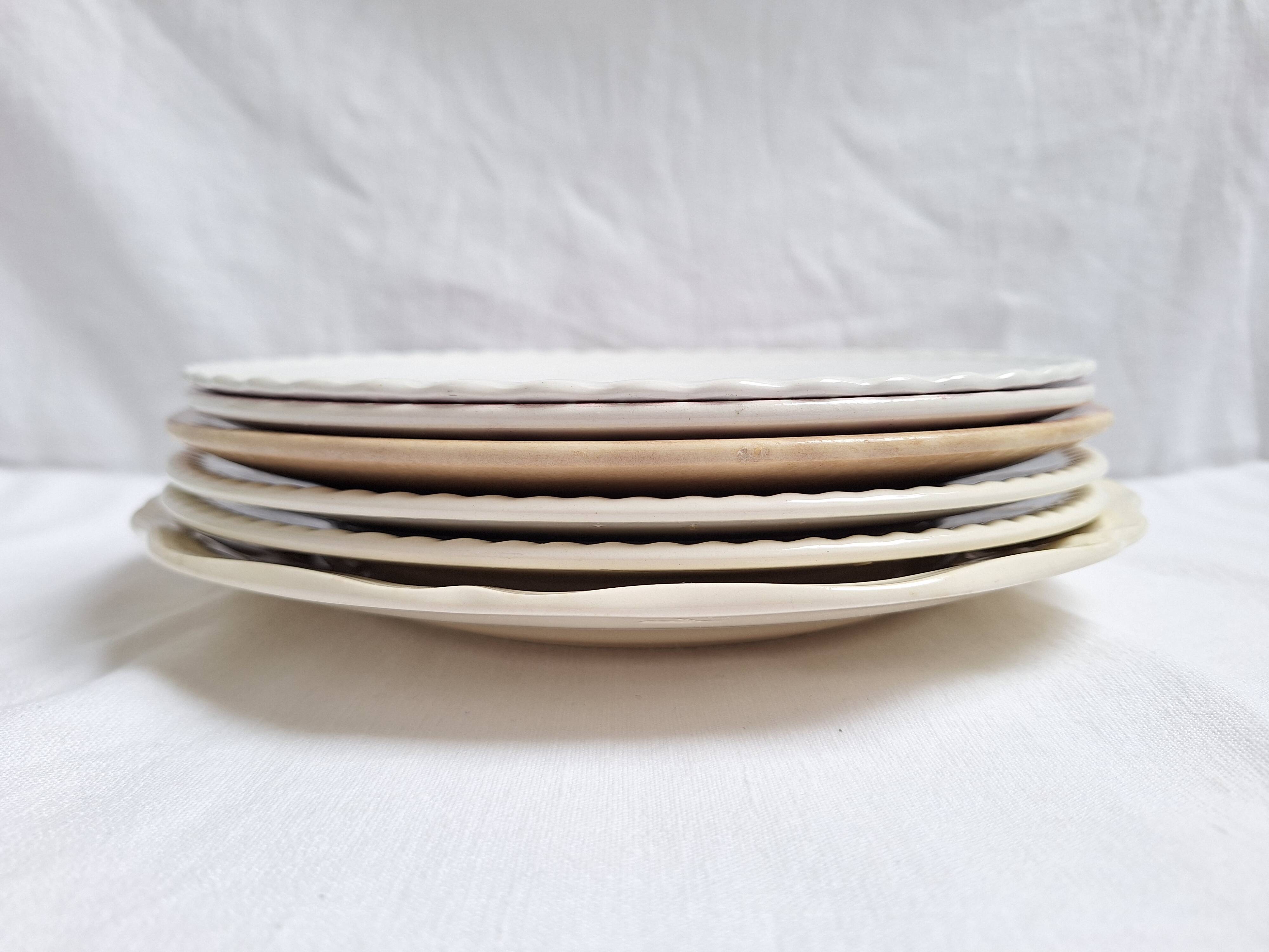 6 blue and pink dinner plates