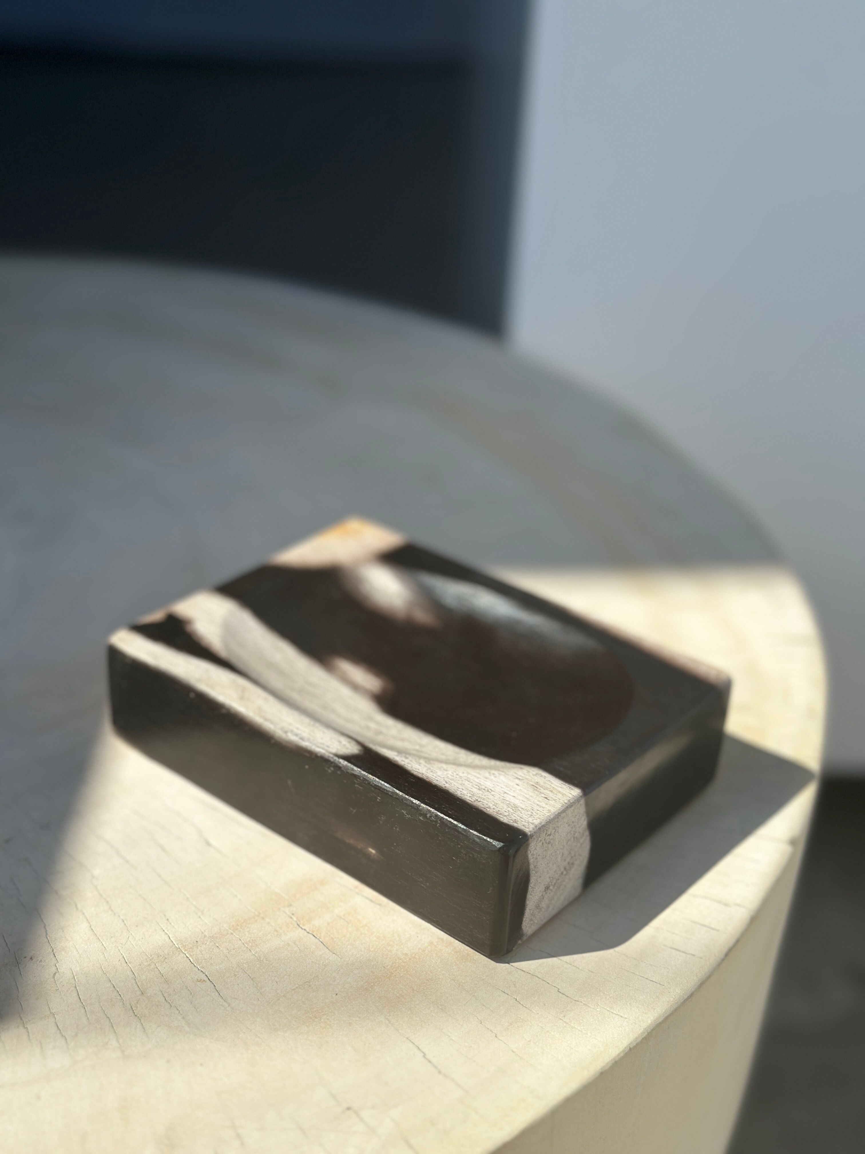 Symmetrical multicolored petrified wood soap dish