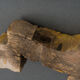 Élément en bois sculpté polychrome décor d'animaux ailés XXe Inde