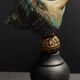 Cabinet of curiosities shell turbo imperialis on base