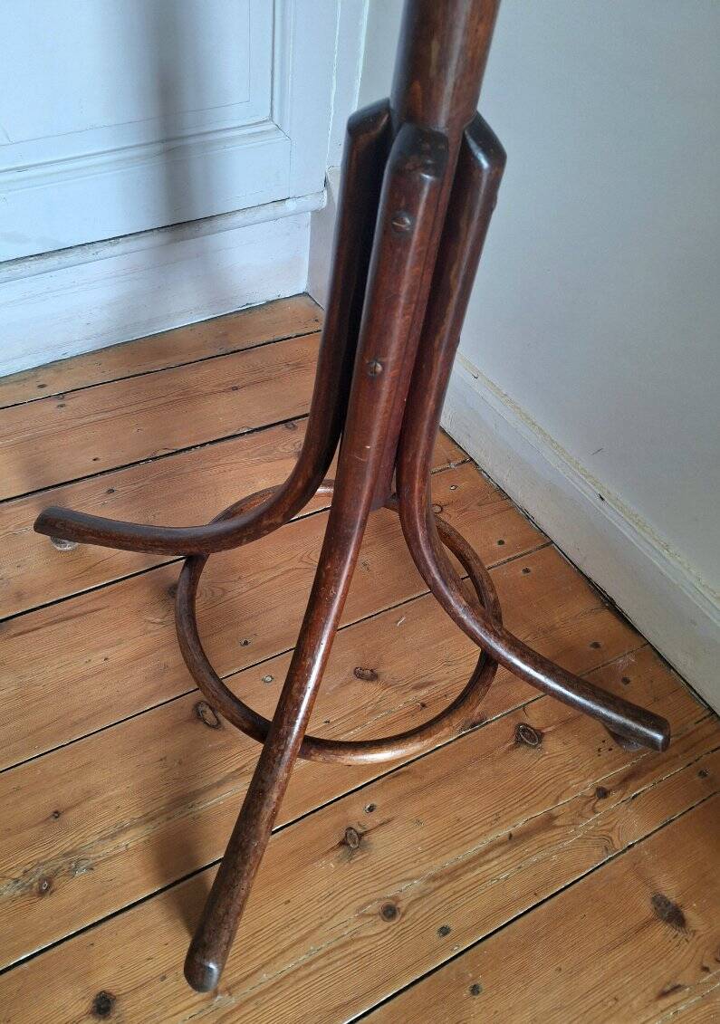 Vintage parrot coat racks, old furniture for entrance