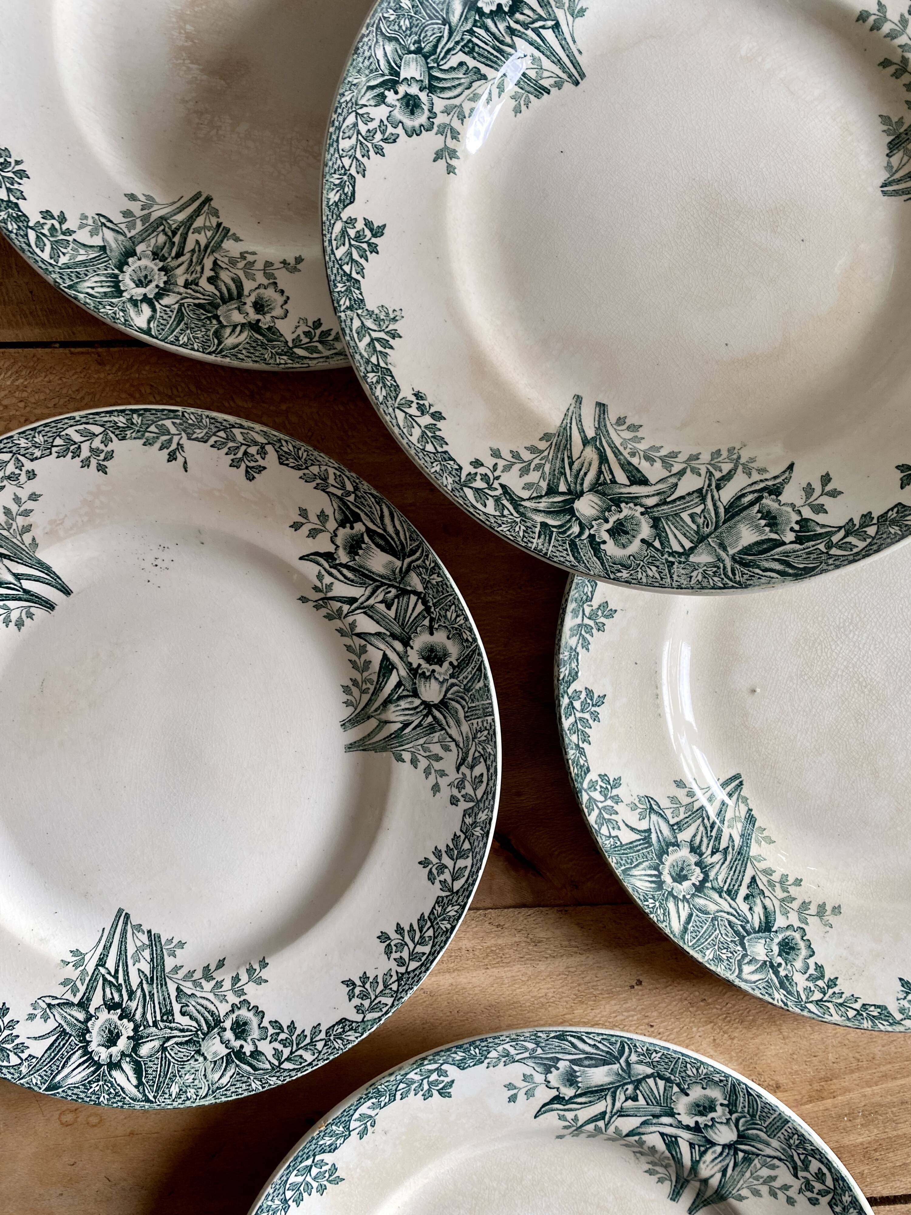 Set of 6 flat plates in iron earth (LOT 5)