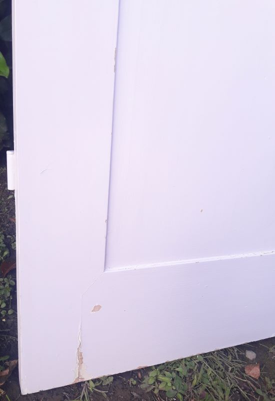Pair of doors 229,5x110cm closet