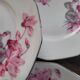 7 MBS France dessert plates – pink cyclamen decoration, ar rim