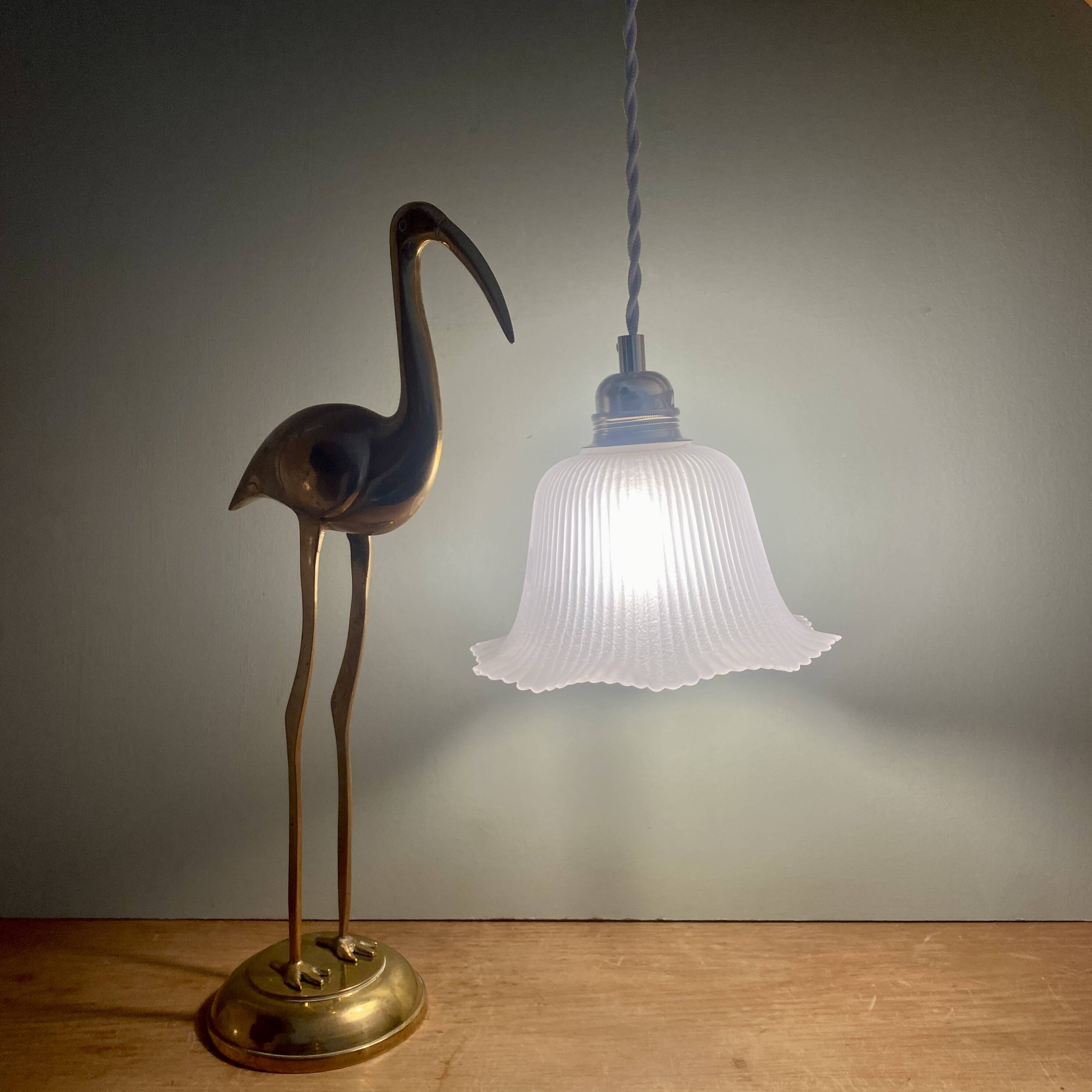Vintage frosted glass lampshade pendant light