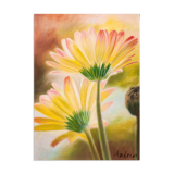 Drawing of daisies. drawn flowers. color drawing of daisies. drawing of flowers.