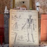Old school map Anatomy
