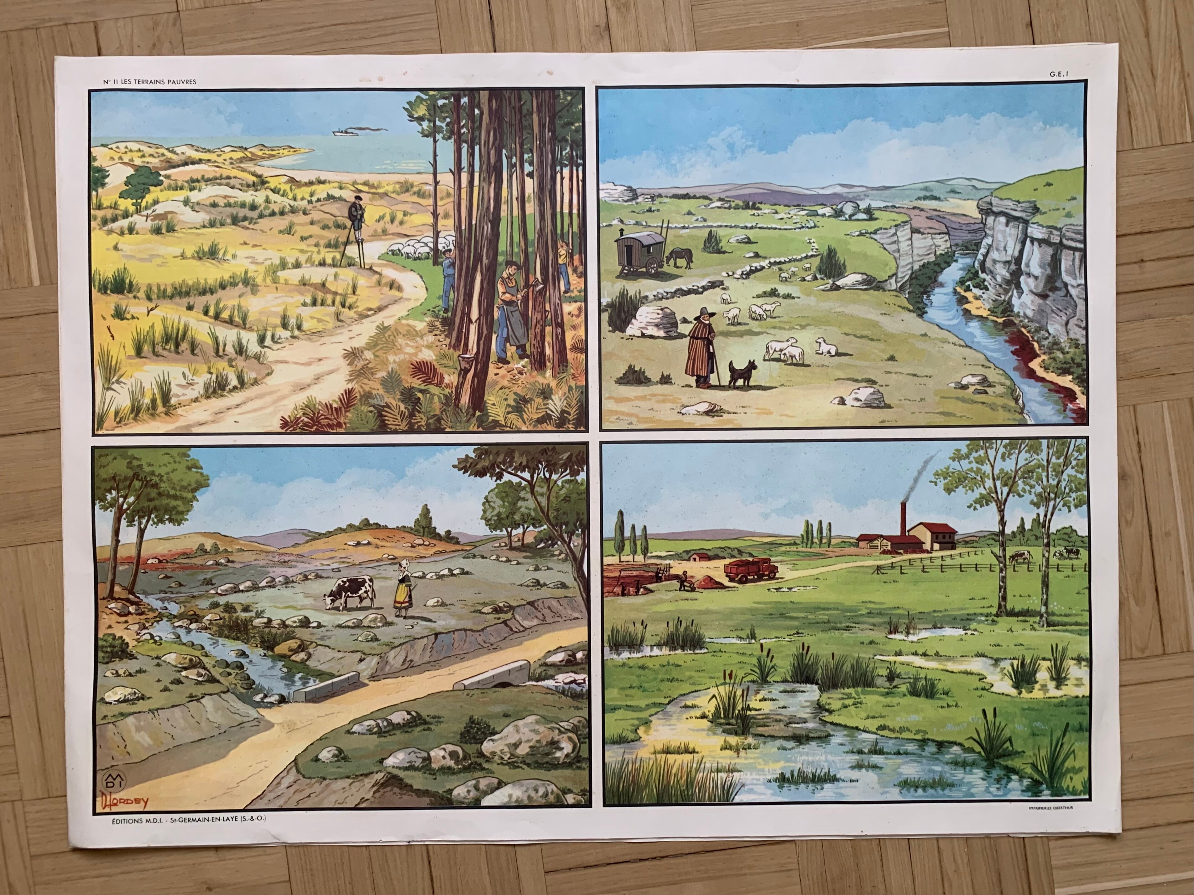 Pedagogical school poster frame