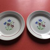 Set of 10 flat plates