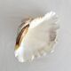 Natural shell holy water font empty pocket.